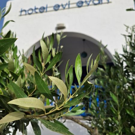 Εvi Evan Hotel Galissas Exterior photo