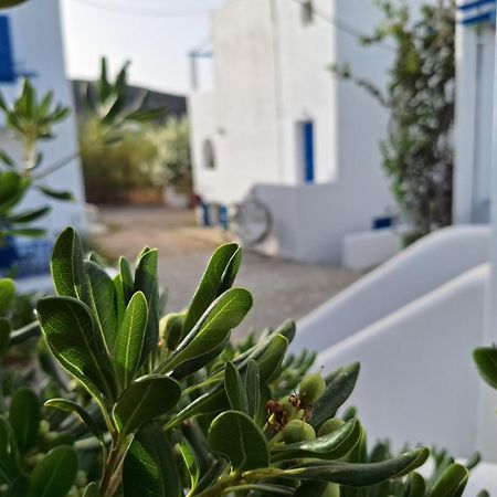 Εvi Evan Hotel Galissas Exterior photo